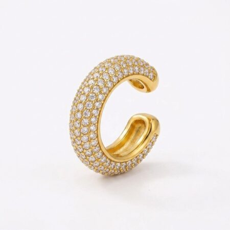 Celine Cartilage Earrings - Ατσάλινα Σκουλαρίκια Χόνδρου